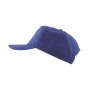 ARDON LION modrá Čiapka šilt